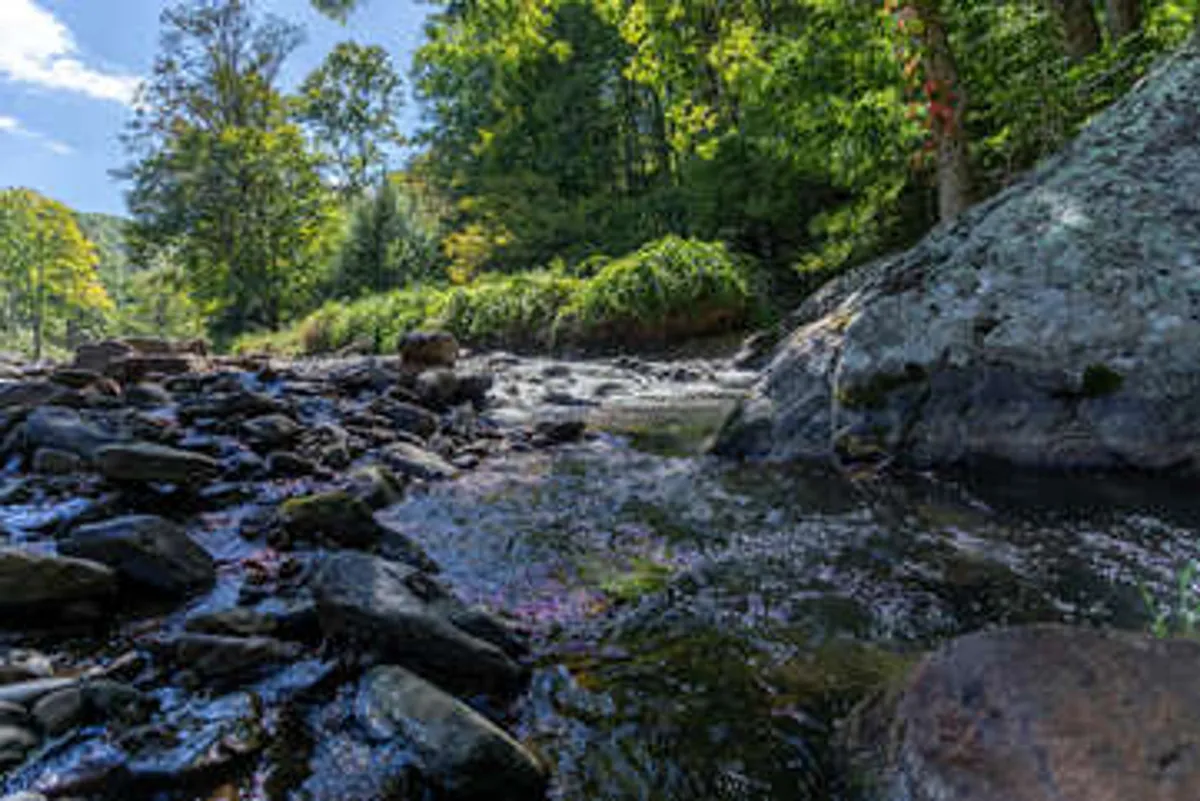 A tranquil river scene with crystal-clear flowing water, rocky banks, and vibrant greenery. The peaceful mood and natural beauty make it an inviting spot for couples to stroll, enjoy a quiet picnic, or simply listen to the soothing sounds of water and wildlife.