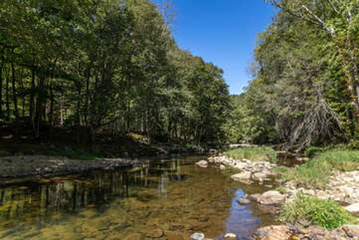 A serene view of a calm river bordered by lush trees and a rocky riverbed. The water reflects the colors of sunset, creating a tranquil atmosphere that hints at both relaxation and outdoor adventure. The surrounding landscape suggests opportunities for fishing, hiking, and wildlife watching.